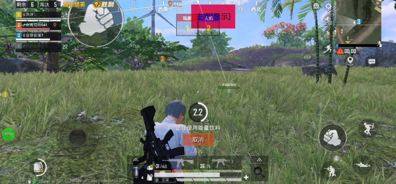 和平精英【EAD内部】辅助